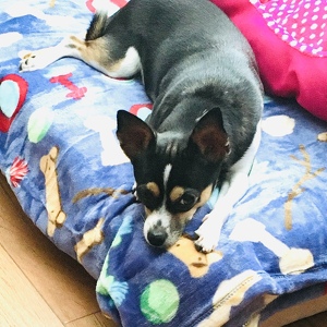 Fundraising Page: Heather Crawford